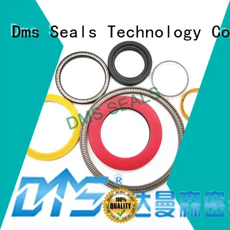 DMS Seal Manufacturer Best multi spring seal Suppliers for reciprocating piston rod or piston single acting seal 1
