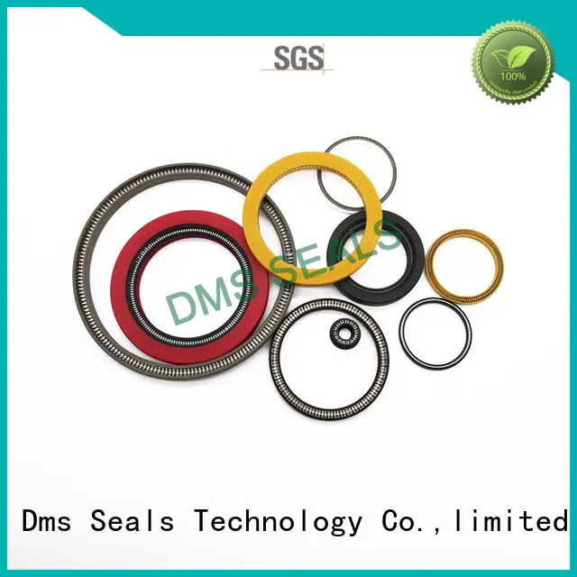 DMS Seal Manufacturer spring energized seal design for business for aviation 1
