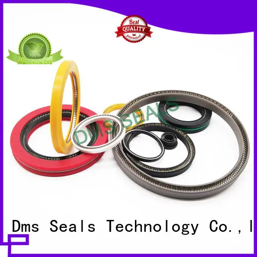 DMS Seal Manufacturer Top shaft seals for dynamic applications for reciprocating piston rod or piston single acting seal 1