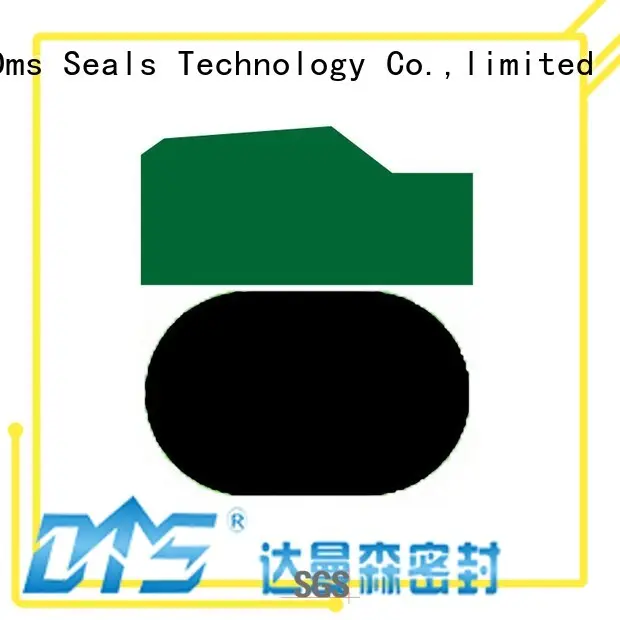 DMS Seal Manufacturer hydraulic rod seal installer manufacturer for pneumatic equipment 1