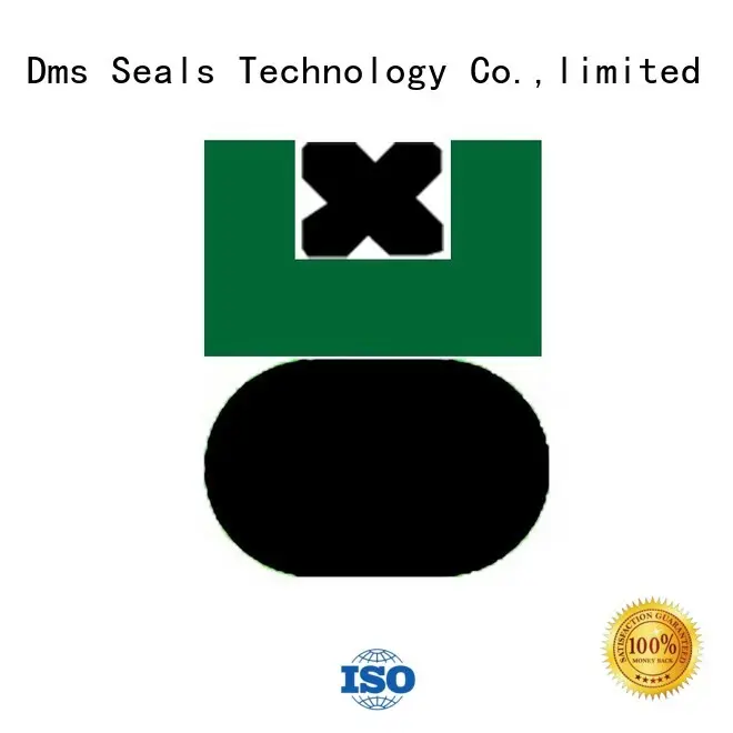 DMS Seal Manufacturer piston cup seal suppliers for business for pneumatic equipment 1