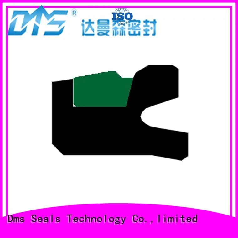 DMS Seal Manufacturer Custom external seal company for light and medium hydraulic systems 1