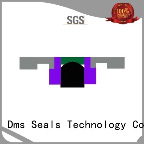 DMS Seal Manufacturer hydraulic cylinder piston rings company for pneumatic equipment 1