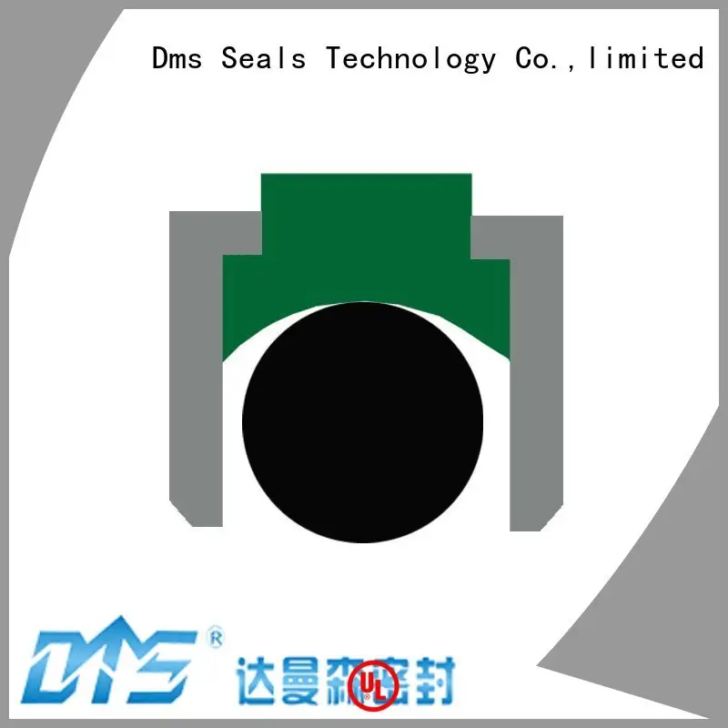 DMS Seal Manufacturer Top hydraulic seal design with ptfe nbr and pom for pneumatic equipment 1