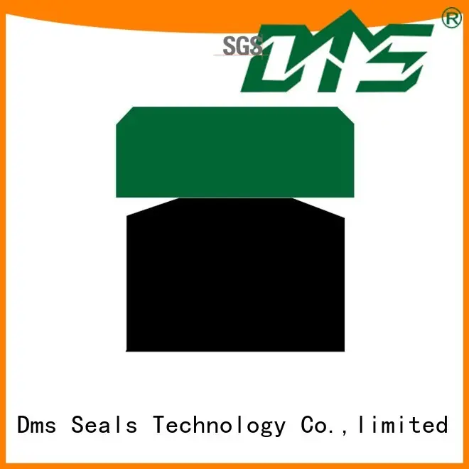 DMS Seal Manufacturer hydraulic piston seals suppliers for business for sale 1