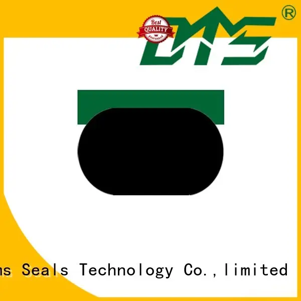 DMS Seal Manufacturer Top hydraulic oil seal manufacturers Supply for sale 1