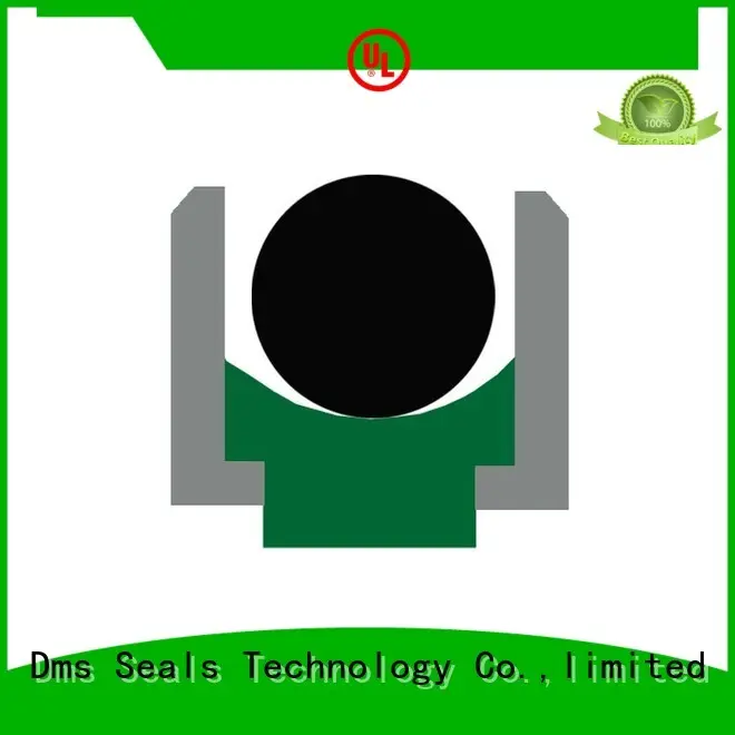 DMS Seal Manufacturer Custom wiper seal Suppliers to high and low speed 1
