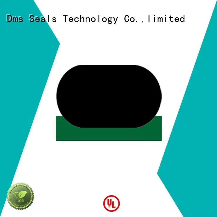 DMS Seal Manufacturer Suppliers for pressure work and sliding high speed occasions 1