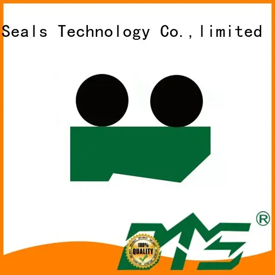 DMS Seal Manufacturer rubber gasket design guide for business for injection molding machines 1