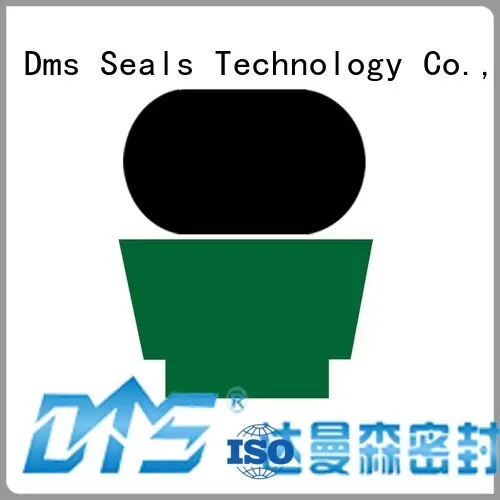 DMS Seal Manufacturer cylinder rod seal factory to high and low speed 1