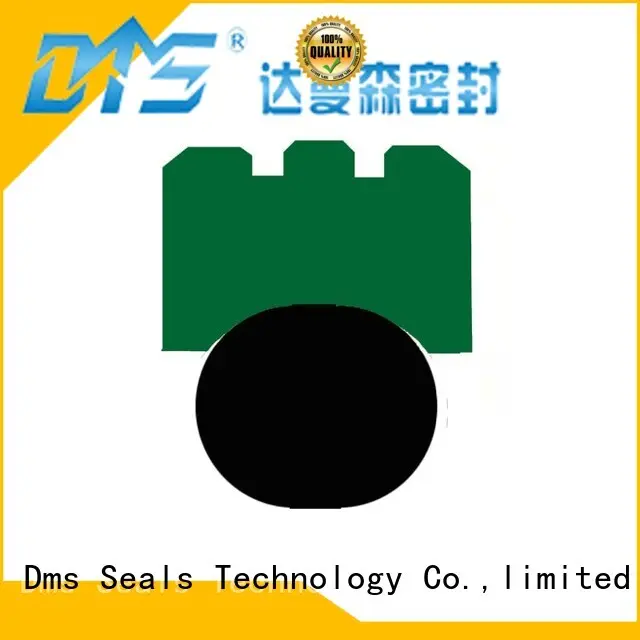 DMS Seal Manufacturer high speed shaft seal Supply for automotive equipment 1