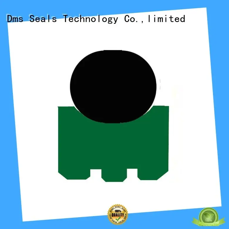 DMS Seal Manufacturer lip seal o ring company for automotive equipment 1