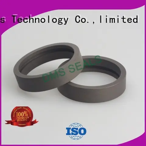 DMS Seal Manufacturer Best radial needle bearing for business for sale 1