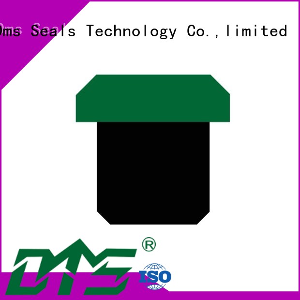 DMS Seal Manufacturer New hydraulic oil seal manufacturers for business for light and medium hydraulic systems 1