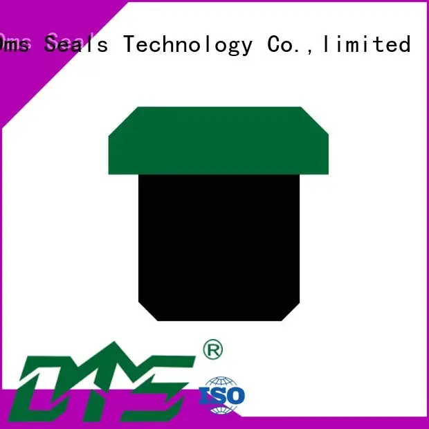 DMS Seal Manufacturer New hydraulic oil seal manufacturers for business for light and medium hydraulic systems 1