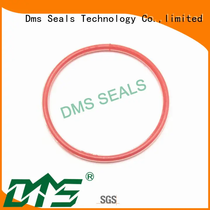 DMS Seal Manufacturer 55mm rubber o ring in highly aggressive chemical processing 1