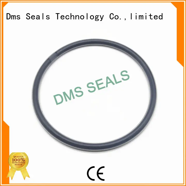 DMS Seal Manufacturer square o ring sizes company for static sealing 1