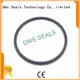 DMS Seal Manufacturer square o ring sizes company for static sealing 1