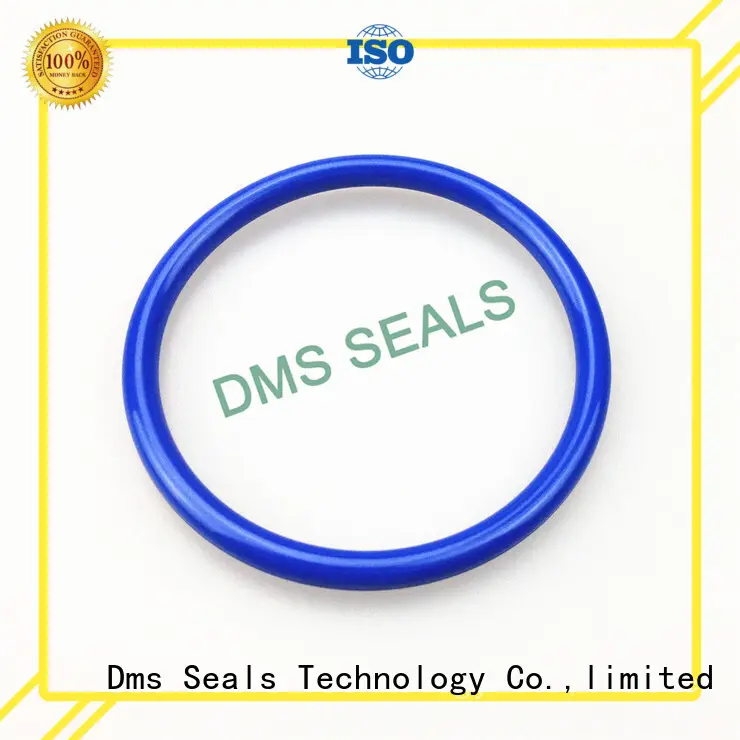 DMS Seal Manufacturer Top 2.25 o ring for business for static sealing 1