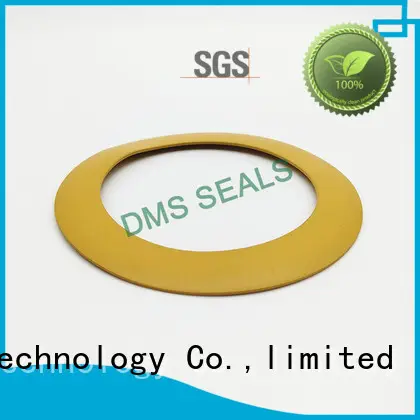 DMS Seal Manufacturer plastic soft rubber gasket torque for liquefied gas 1
