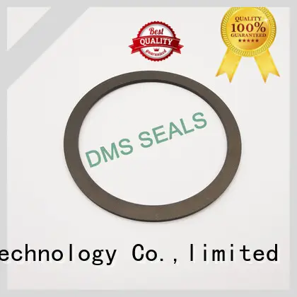 DMS Seal Manufacturer gasket material properties seals for preventing the seal from being squeezed 1