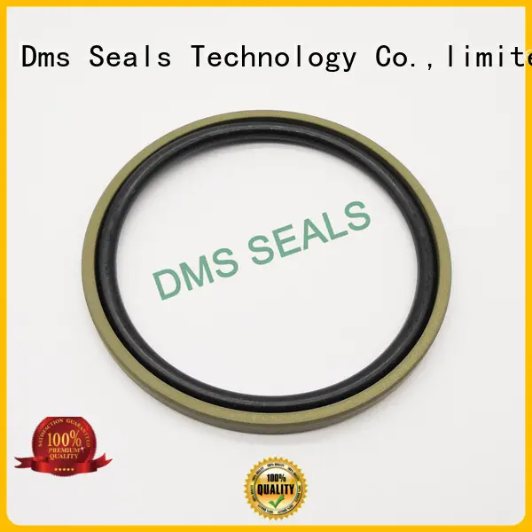 DMS Seal Manufacturer o ring seal manufacturers glyd ring 1