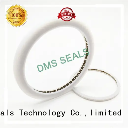 DMS Seal Manufacturer New rod end seals Supply for reciprocating piston rod or piston single acting seal 1