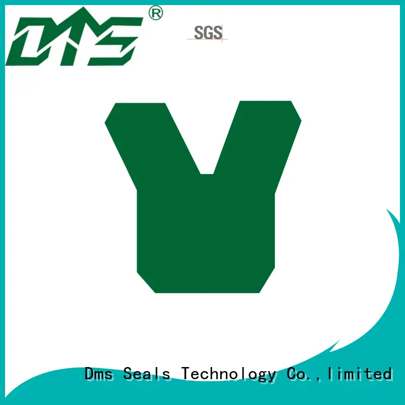 DMS Seal Manufacturer New fluoro rubber seal for pressure work and sliding high speed occasions 1