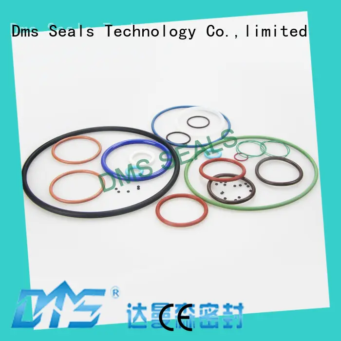 Latest extra large o rings in highly aggressive chemical processing 1