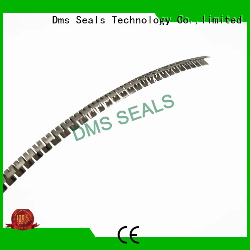 DMS Seal Manufacturer industrial oil seals wholesale for larger piston clearance 1