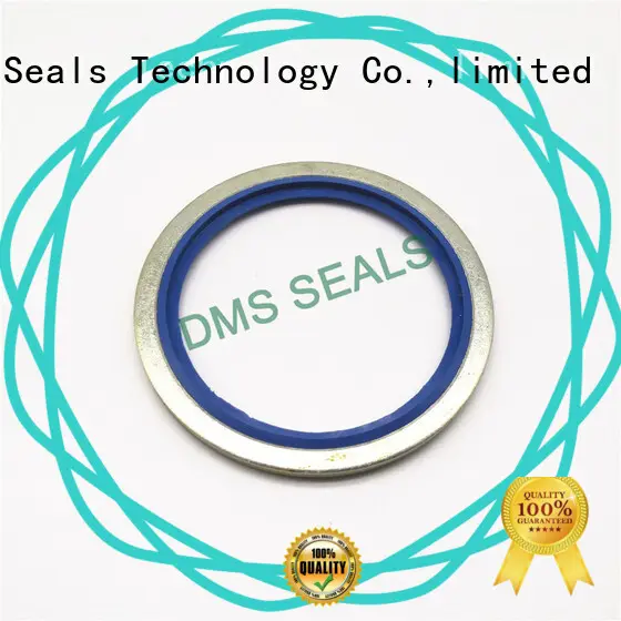 DMS Seal Manufacturer best bonded piston seal for business for fast and automatic installation 1