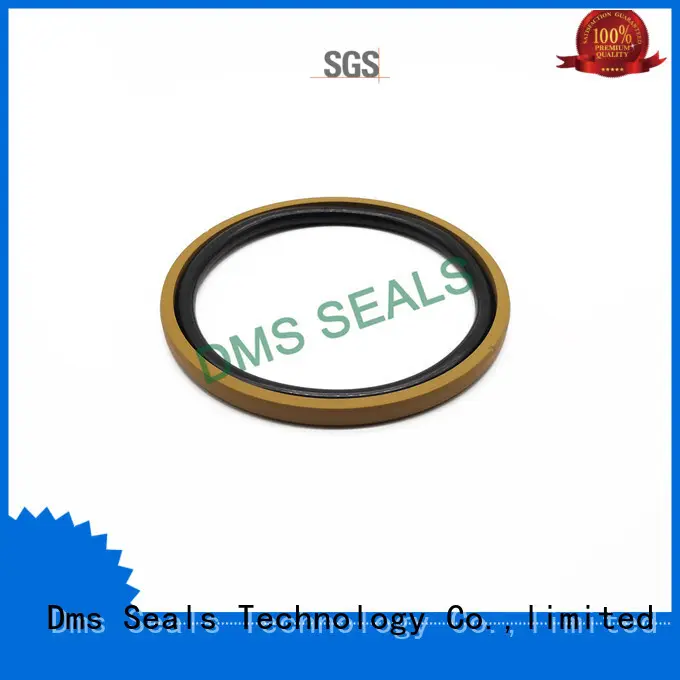 DMS Seal Manufacturer hydraulic pump oil seal factory for sale 1