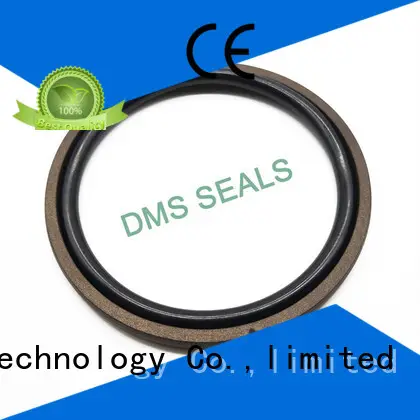 DMS Seal Manufacturer hydraulic valve seals manufacturer for sale 1