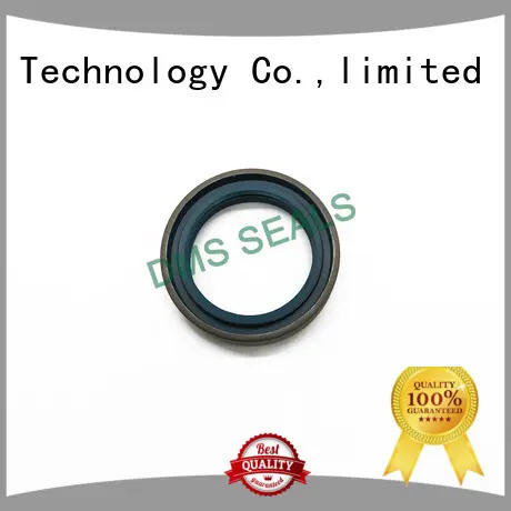 DMS Seal Manufacturer r23 oil seal with integrated spring for sale 1