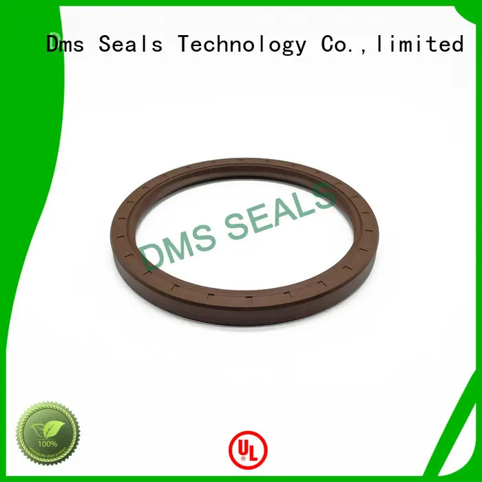 professional lip seal suppliers with integrated spring for housing 1