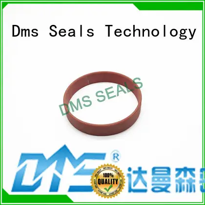 DMS Seal Manufacturer cheap roller bearings Supply as the guide sleeve 1