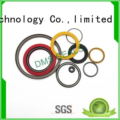 DMS Seal Manufacturer Best sic mechanical seal factory for aviation 1