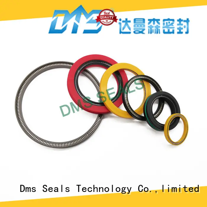 DMS Seal Manufacturer mechanical seal ring factory for aviation 1