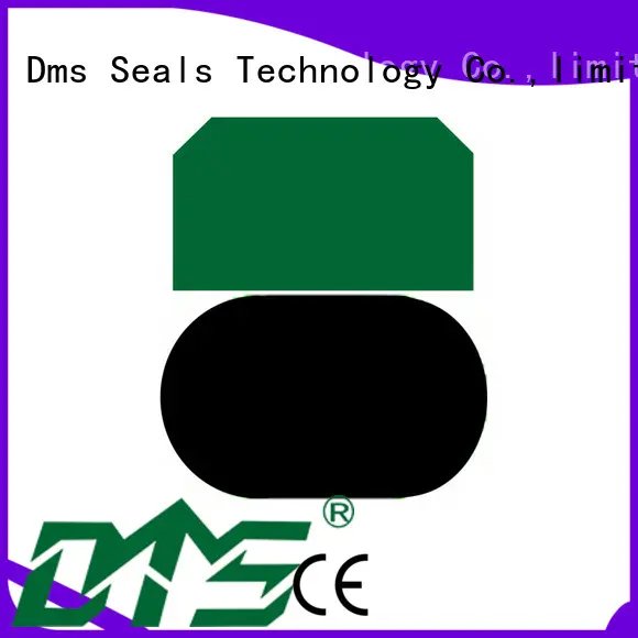 DMS Seal Manufacturer Custom piston t seal Suppliers for sale 1