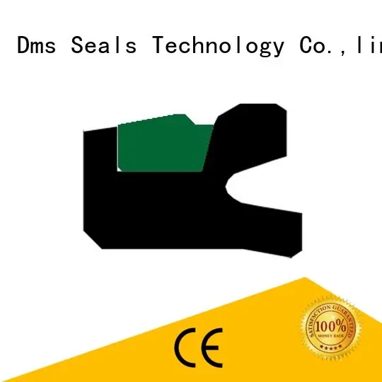 DMS Seal Manufacturer piston lip seal factory for light and medium hydraulic systems 1