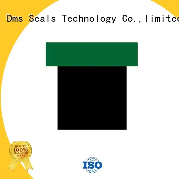 DMS Seal Manufacturer Top piston t seal Supply for sale 1