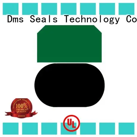 DMS Seal Manufacturer Custom rod seal installation manufacturers for light and medium hydraulic systems 1