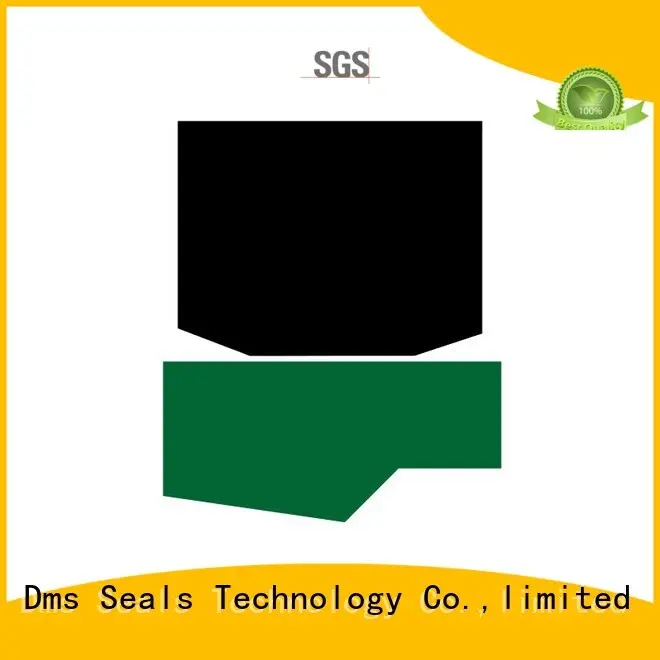 Wholesale hyd cylinder seal kit Suppliers for pressure work and sliding high speed occasions 1