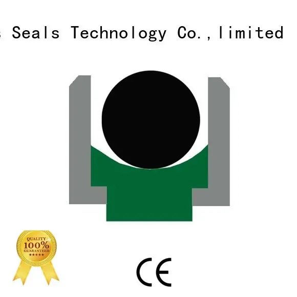 DMS Seal Manufacturer high quality hydraulic rod seals Supply for pressure work and sliding high speed occasions 1