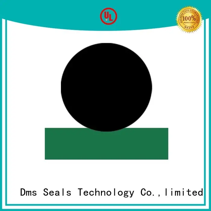 DMS Seal Manufacturer Top piston rod seals hydraulic with nbr or fkm o ring to high and low speed 1
