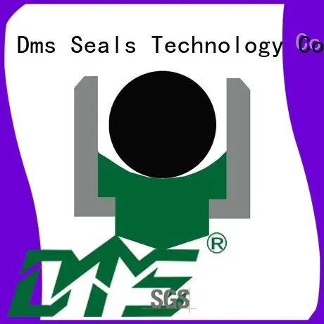 DMS Seal Manufacturer hydraulic hydraulic and pneumatic seals company for construction machinery 1