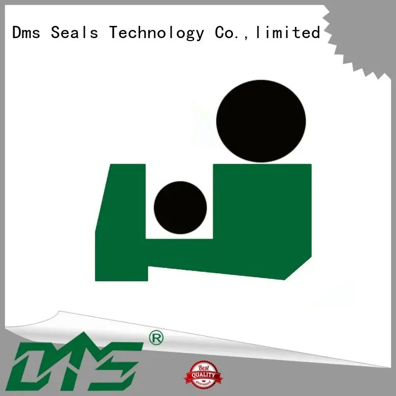 DMS Seal Manufacturer Latest wiper seal manufacturer for business for forklifts 1