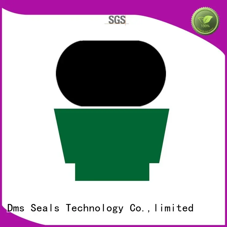 Latest seals for hydraulic pumps with nbr or pu to high and low speed 1