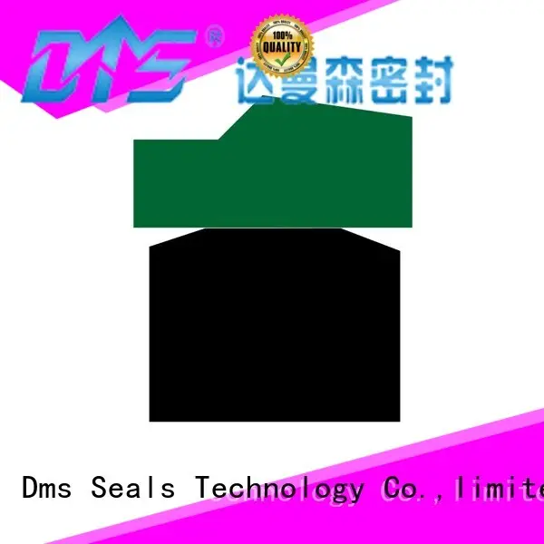 DMS Seal Manufacturer Wholesale hydraulic rubber seal for pneumatic equipment 1