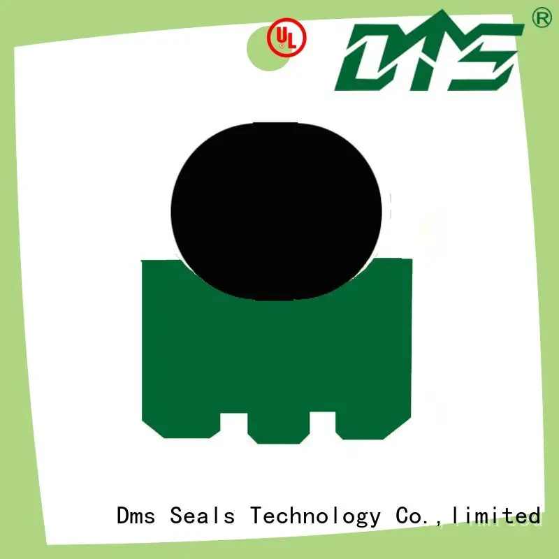DMS Seal Manufacturer high temperature shaft seal company for construction machinery 1
